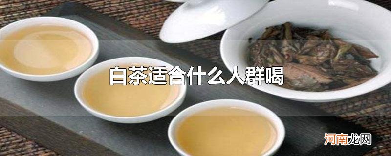 白茶适合什么人群喝