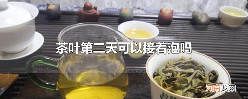 茶叶第二天可以接着泡吗