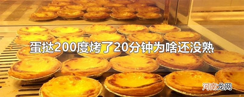 蛋挞200度烤了20分钟为啥还没熟