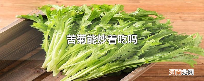 苦菊能炒着吃吗