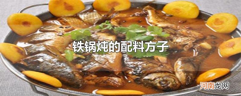 铁锅炖的配料方子