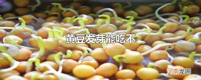 黄豆发芽能吃不