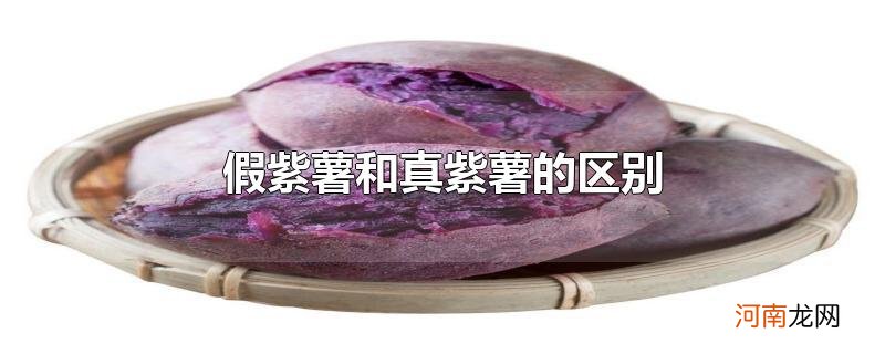 假紫薯和真紫薯的区别