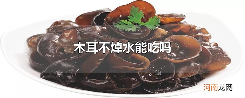 木耳不焯水能吃吗