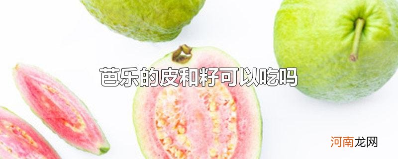 芭乐的皮和籽可以吃吗