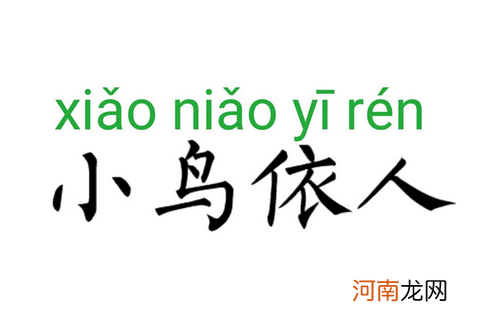 小鸟依人是什么意思吗，是形容男人吗？优质