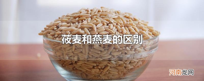 莜麦和燕麦的区别