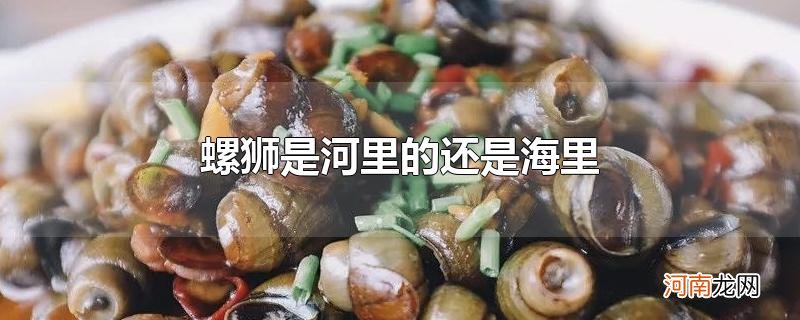 螺狮是河里的还是海里