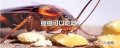蟑螂可以吃吗?
