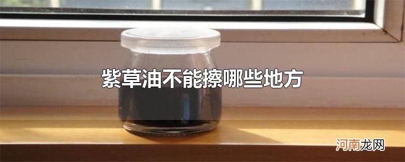 紫草油不能擦哪些地方