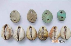古人为什么不去海边捡贝壳 贝壳是什么时候的货币优质