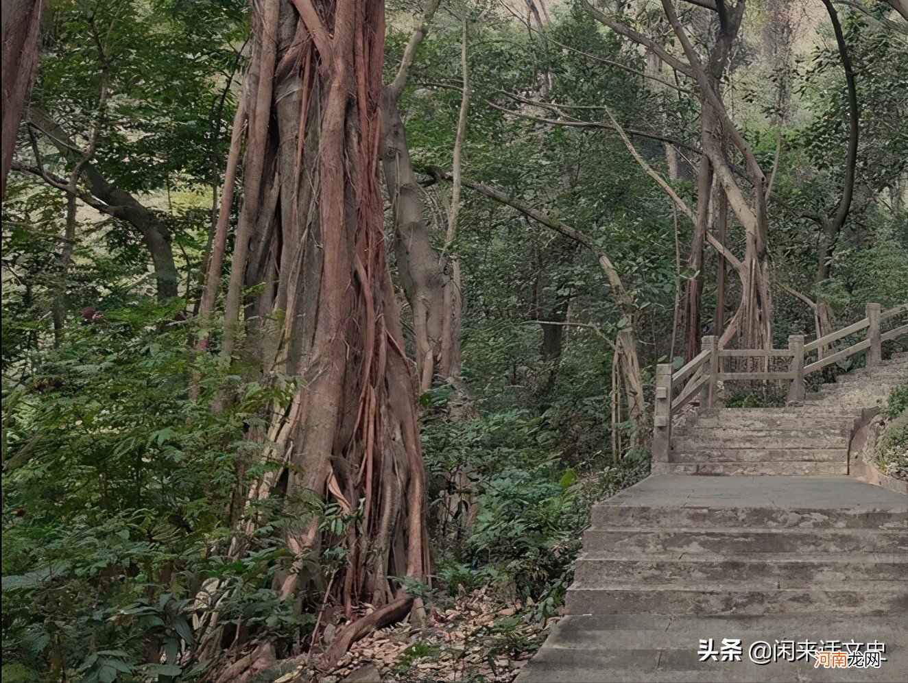 王维三首最精彩的五绝山水诗 王维的诗有哪些优质