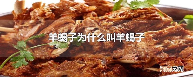 羊蝎子为什么叫羊蝎子