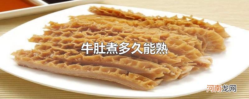 牛肚煮多久能熟