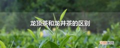 龙顶茶和龙井茶的区别