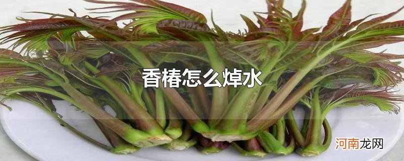 香椿怎么焯水