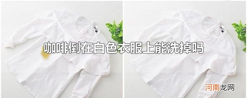 咖啡倒在白色衣服上能洗掉吗