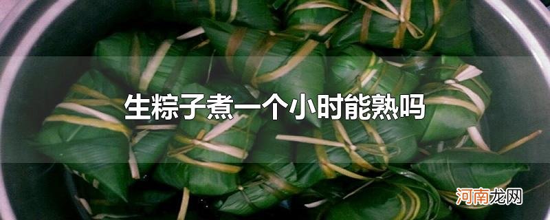 生粽子煮一个小时能熟吗