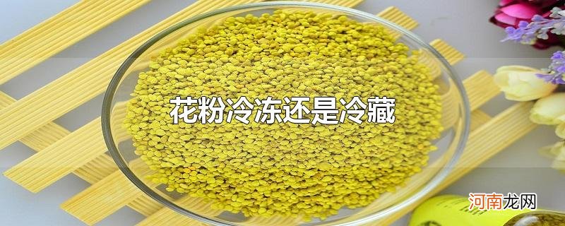 花粉冷冻还是冷藏