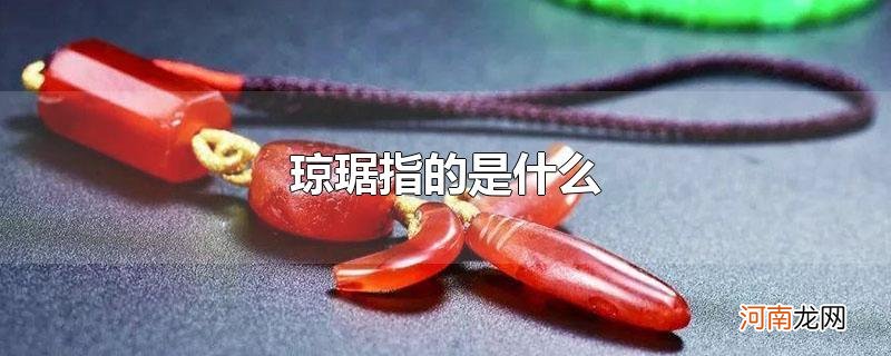 琼琚指的是什么