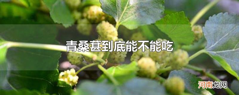 青桑葚到底能不能吃