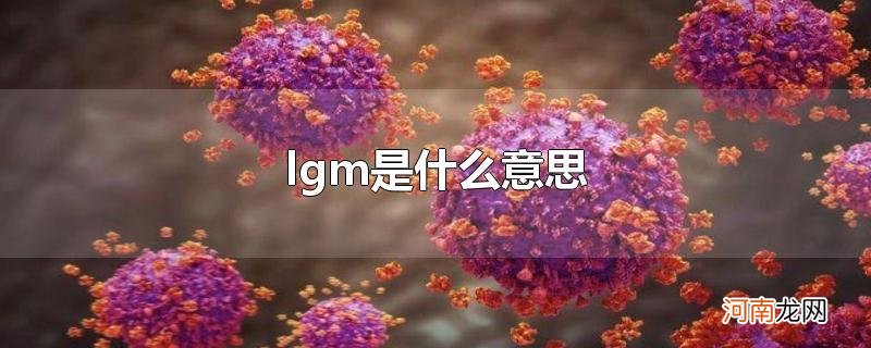 lgm是什么意思