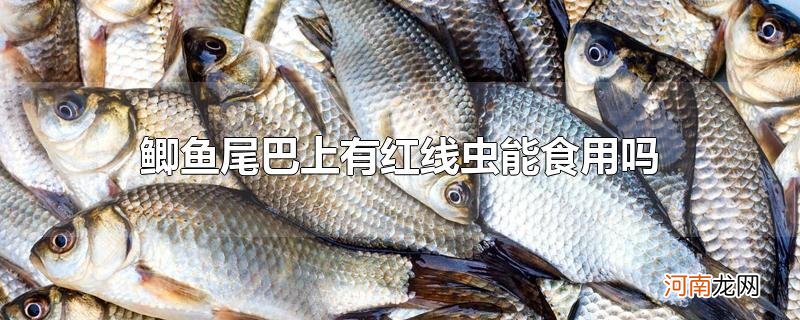 鲫鱼尾巴上有红线虫能食用吗