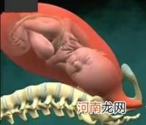 婴儿出生全过程 女人是怎么生孩子的