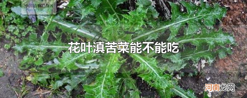 花叶滇苦菜能不能吃