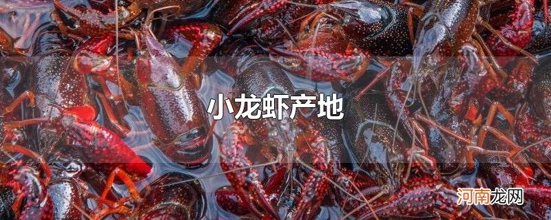 小龙虾产地