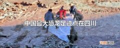 中国最大恐龙足迹点在四川