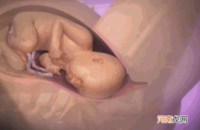 临产前会有一些小征兆 孩子是怎么生出来的写在最后
