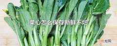 菜心怎么保存新鲜不烂