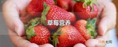 草莓营养