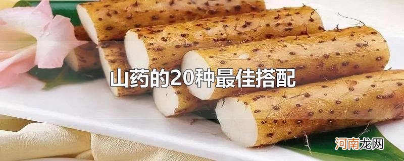 山药的20种最佳搭配