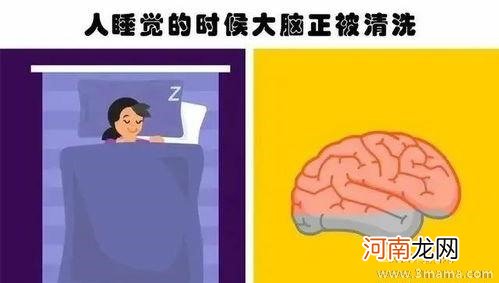 睡眠不足会影响儿童智力