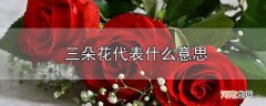 三朵花代表什么意思