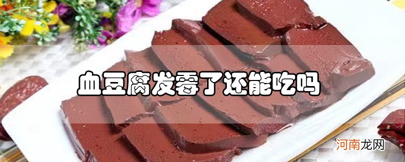 血豆腐发霉了还能吃吗