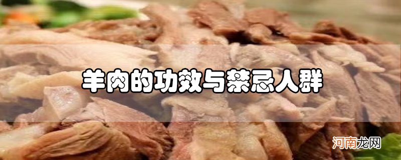 羊肉的功效与禁忌人群