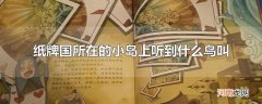 纸牌国所在的小岛上听到什么鸟叫