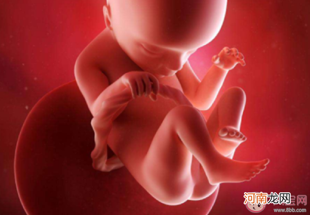 胎儿偏小|胎儿偏小是发育不好吗 胎儿偏小几周是正常的