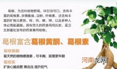 葛根的功效与作用:17种药理作用详解