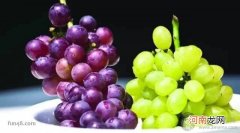 如何区分葡萄与提子