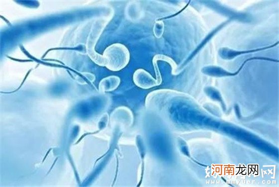 从精子活力低的六大原因 寻找精子活动率低怎么办的方法