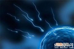 男人精子存活率正常值 揭开精子存活率多少正常的谜底