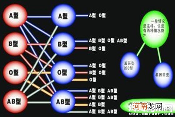 o型血和b型血生的孩子是什么血型有规律 别不懂装懂！