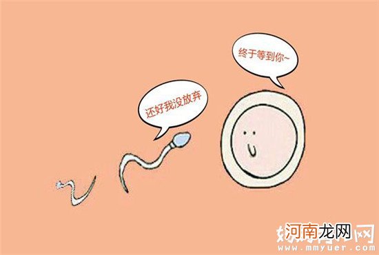 了解卵子排出后能存活多久 才能为“造人”做充足准备