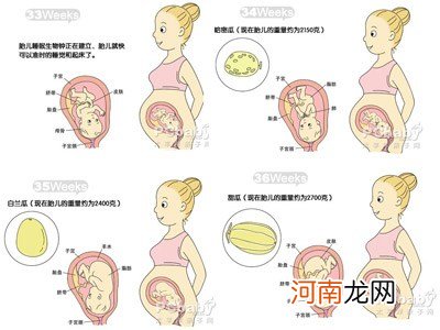 b超图 怀孕九个月胎儿图