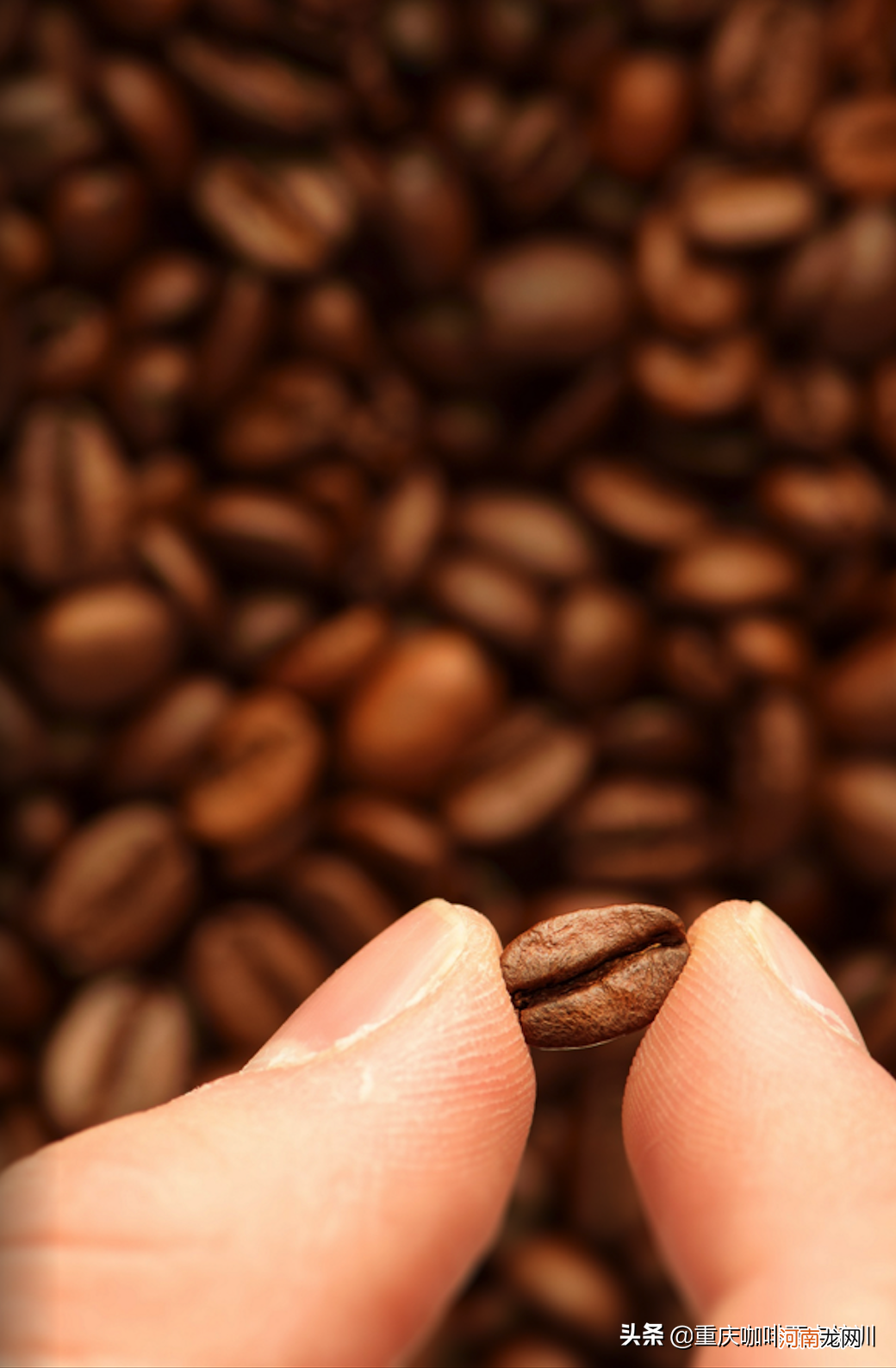 咖啡豆怎么处理才能喝 新鲜烘焙的咖啡豆要怎么弄才好喝