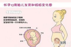 别问我怀孕四个月胎儿长啥样 一张图让你对胎儿了如指掌